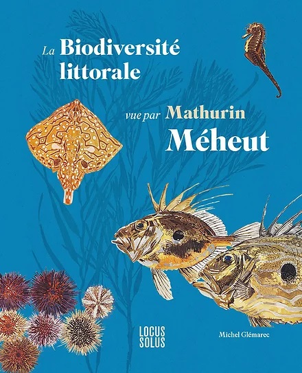 La biodiversité littorale vue par Mathurin Méheut.